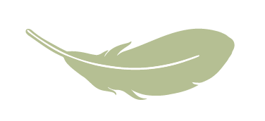 Decorative feather